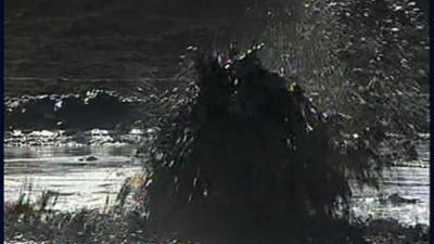 Planet Schule: Totally Phenomenal - The Versatility of Crude Oil