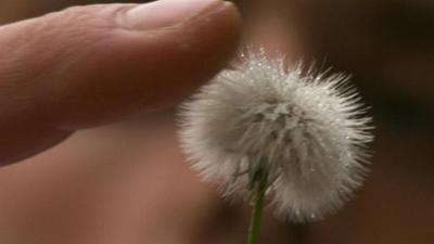 Planet Schule: Totally Phenomenal - The Sense of Touch