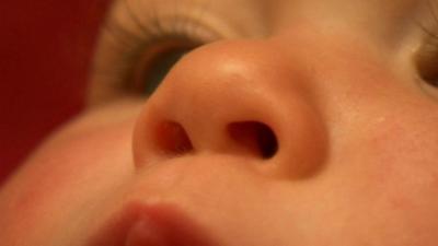 Planet Schule: Totally Phenomenal - Super Noses