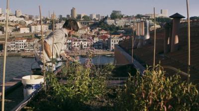 Planet Schule: Big Cities - Porto: Pedro, der Stadtfarmer