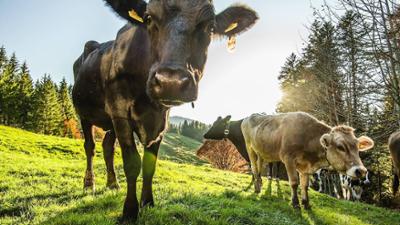 Planet Wissen: Gute Ernte um jeden Preis? Die Zukunft der Landwirtschaft