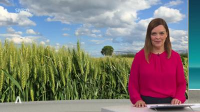 SWR Aktuell: Sendung 17:00 Uhr vom 2.7.2026
