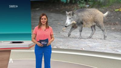 SWR Aktuell: Sendung 21:45 Uhr vom 2.9.2026