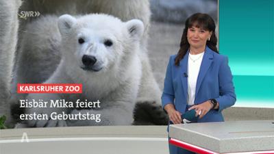 SWR Aktuell: Sendung 18:00 Uhr vom 2.11.2025