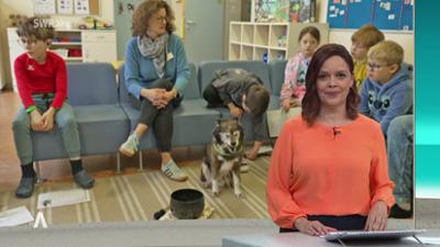 SWR Aktuell: Sendung 18:00 Uhr vom 2.12.2025