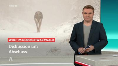 SWR Aktuell: Sendung 17:00 Uhr vom 3.2.2026