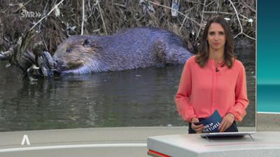 SWR Aktuell: Sendung 18:00 Uhr vom 3.5.2026