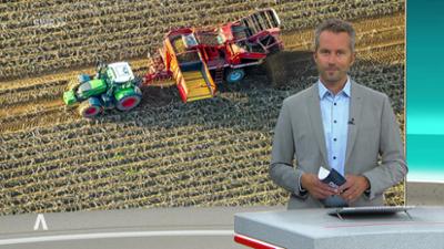 SWR Aktuell: Sendung 16:00 Uhr vom 3.9.2025