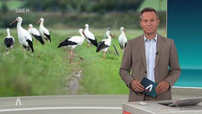 SWR Aktuell: Sendung 17:00 Uhr vom 3.9.2026