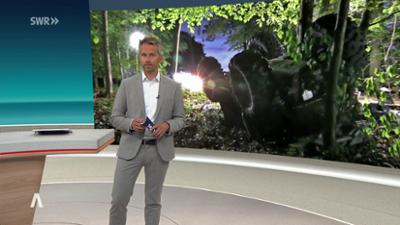 SWR Aktuell: Sendung 21:45 Uhr vom 4.5.2026