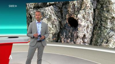 SWR Aktuell: Sendung 21:45 Uhr vom 8.5.2025