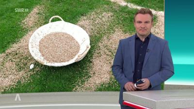 SWR Aktuell: Sendung 18.00 Uhr vom 6.4.2026