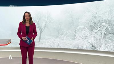 SWR Aktuell: Sendung 19:30 Uhr vom 7.1.2026