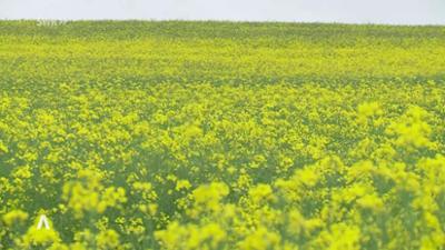 SWR Aktuell: Rheinland-Pfalz Wetter vom 7.5.2024