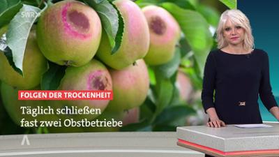SWR Aktuell: Sendung 18:00 Uhr vom 9.8.2026