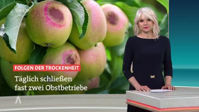SWR Aktuell: Sendung 19:45 Uhr vom 9.8.2026