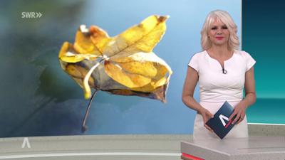 SWR Aktuell: Sendung 21:45 Uhr vom 9.10.2026