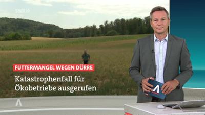 SWR Aktuell: Sendung 18:00 Uhr vom 10.8.2026