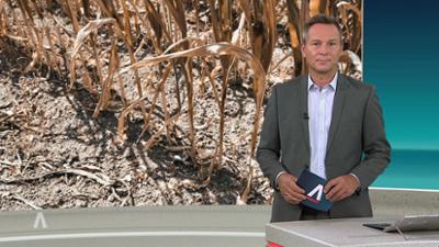 SWR Aktuell: Sendung 21:45 Uhr vom 10.8.2026