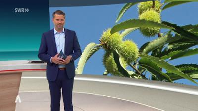 SWR Aktuell: Sendung 18:00 Uhr vom 10.9.2026
