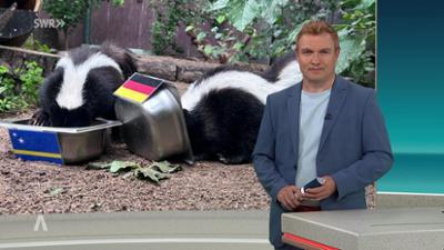 SWR Aktuell: Sendung 16:00 Uhr vom 11.6.2026