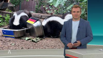 SWR Aktuell: Sendung 17:00 Uhr vom 11.6.2026