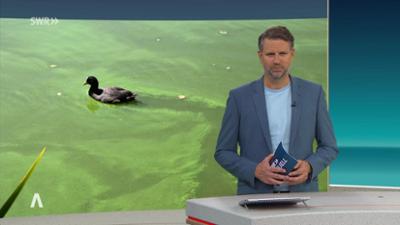 SWR Aktuell: Sendung 17:00 Uhr vom 11.8.2026