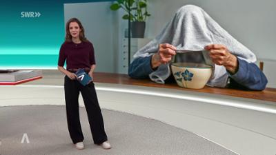 SWR Aktuell: Sendung 19:30 Uhr vom 12.1.2026