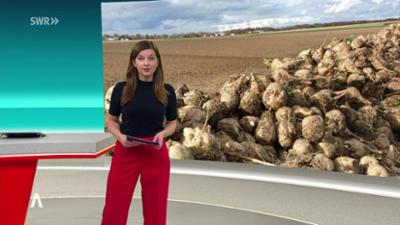 SWR Aktuell: Sendung 21:45 Uhr vom 12.1.2026