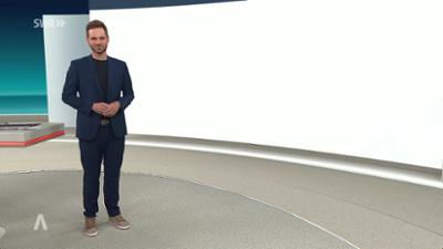 SWR Aktuell: Sendung 19:30 Uhr vom 12.6.2026