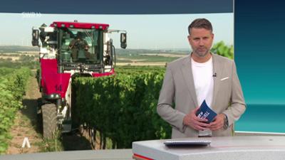 SWR Aktuell: Sendung 16:00 Uhr vom 12.8.2026