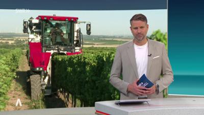 SWR Aktuell: Sendung 17:00 Uhr vom 12.8.2026