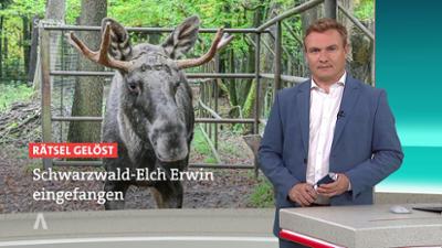 SWR Aktuell: Sendung 19:45 Uhr vom 12.10.2025 SWR Aktuell: Sendung 19:45 Uhr vom 12.10.2025