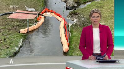 SWR Aktuell: Sendung 17:00 Uhr vom 13.3.2026