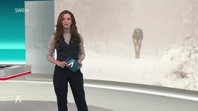 SWR Aktuell: Sendung 19:30 Uhr vom 14.1.2026