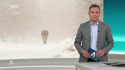 SWR Aktuell: Sendung 21:45 Uhr vom 14.1.2026