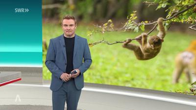 SWR Aktuell: Sendung 19:30 Uhr vom 14.3.2026