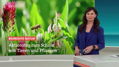 SWR Aktuell: Sendung 19:45 Uhr vom 14.6.2026