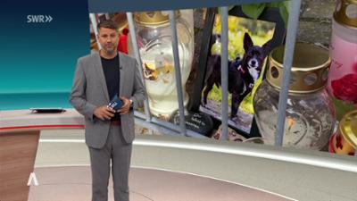 SWR Aktuell: Sendung 21:45 Uhr vom 14.10.2026