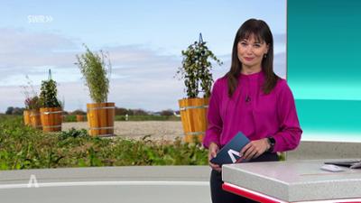 SWR Aktuell: Sendung 21:45 Uhr vom 15.10.2025