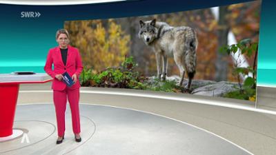 SWR Aktuell: Sendung 19:30 Uhr vom 25.11.2025