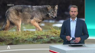 SWR Aktuell: Sendung 21:45 vom 15.11.2025