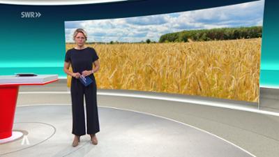 SWR Aktuell: Sendung 19:30 Uhr vom 17.7.2025