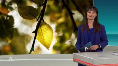SWR Aktuell: Sendung 18:00 Uhr vom 17.10.2026