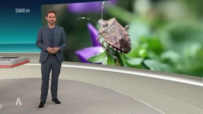 SWR Aktuell: Sendung 19:30 Uhr vom 17.10.2026