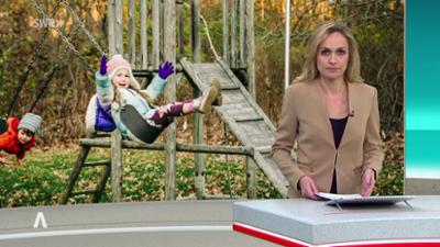 SWR Aktuell: Sendung 16:00 Uhr vom 17.12.2025