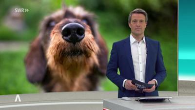 SWR Aktuell: Sendung 17:00 Uhr vom 18.2.2026