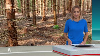 SWR Aktuell: Sendung 16:00 Uhr vom 18.9.2026
