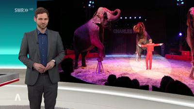 SWR Aktuell: Sendung 19:30 Uhr vom 18.12.2024