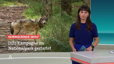 SWR Aktuell: Sendung 16:00 Uhr vom 19.8.2026